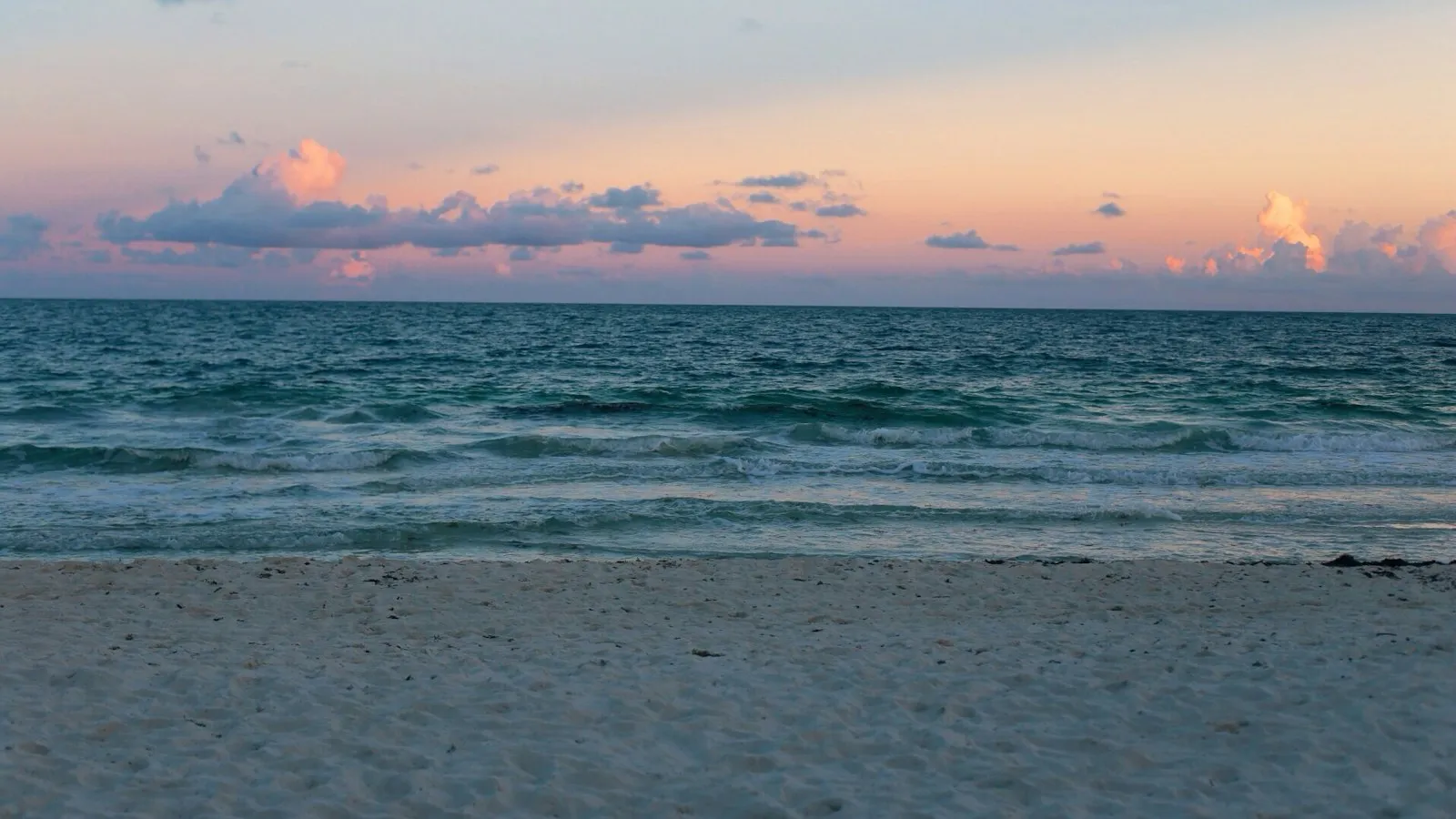 The seashore at golden hour