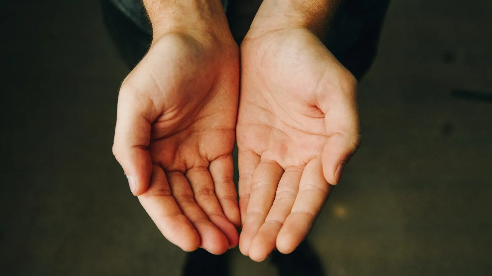 Two open hands held together palms up